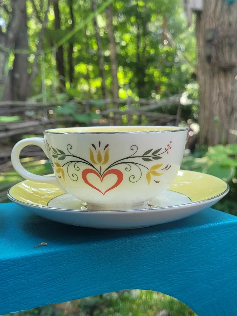 Dutch Farmer Tea Cups & Saucer Plate Set Farmhouse Farmers Wife Cottagecore